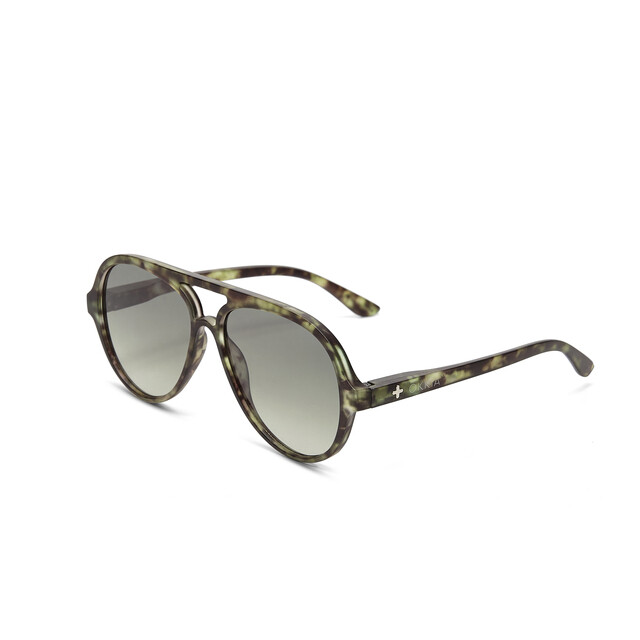 Alessio Kale Havana (Sunglasses) - Image 2